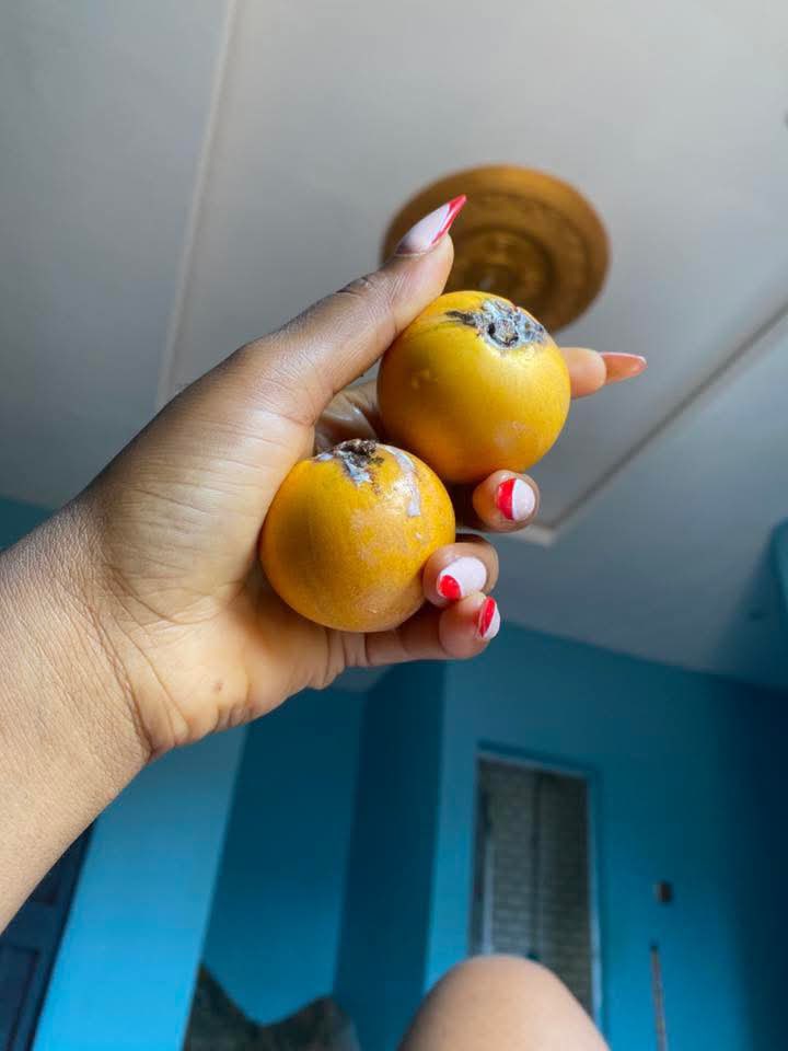 Ivory ✪ tweet media