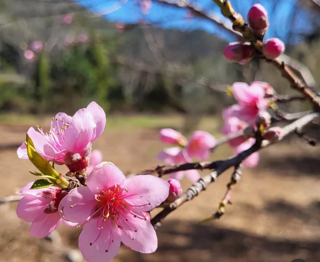 Mariela González tweet media