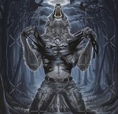 RinSohlz tweet media