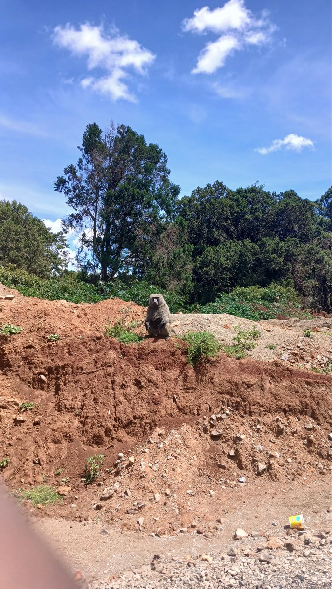 Kipkemboi Keiyot tweet media