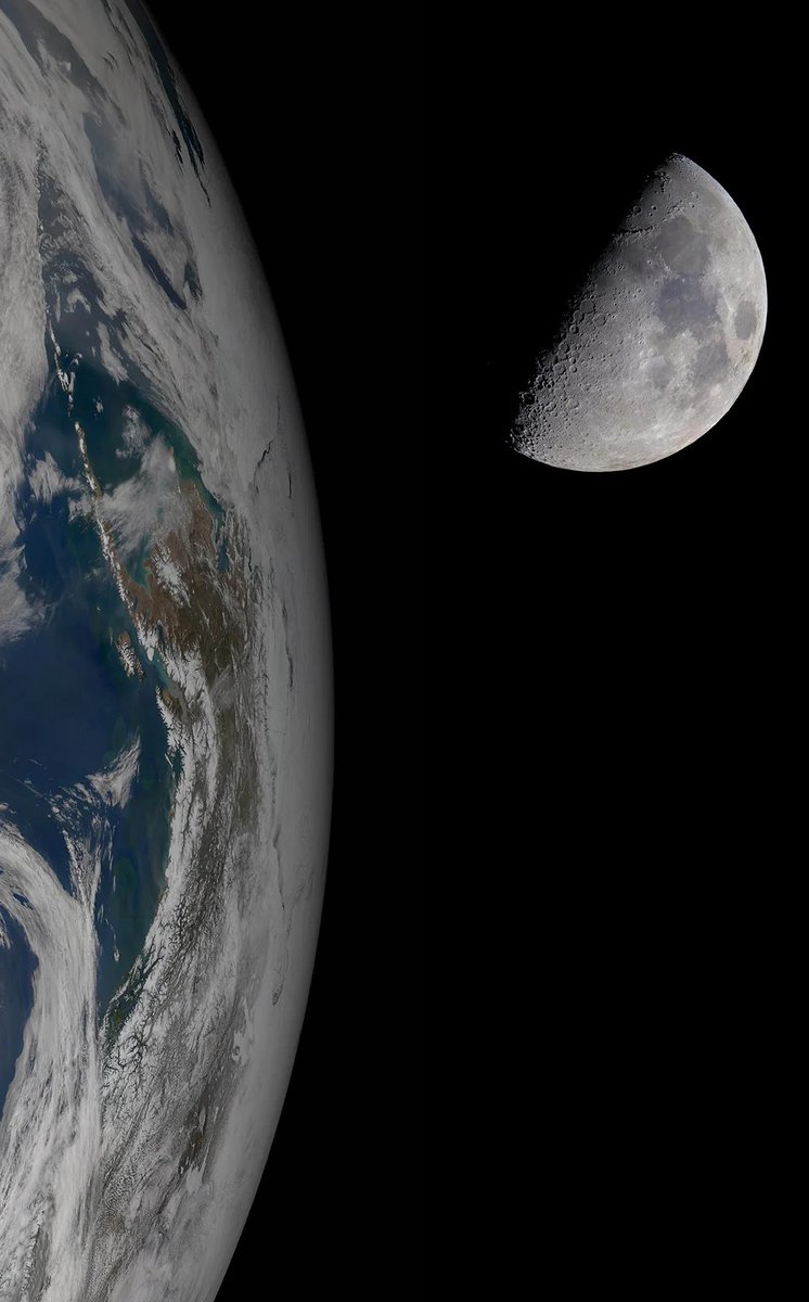 Curiosity tweet media