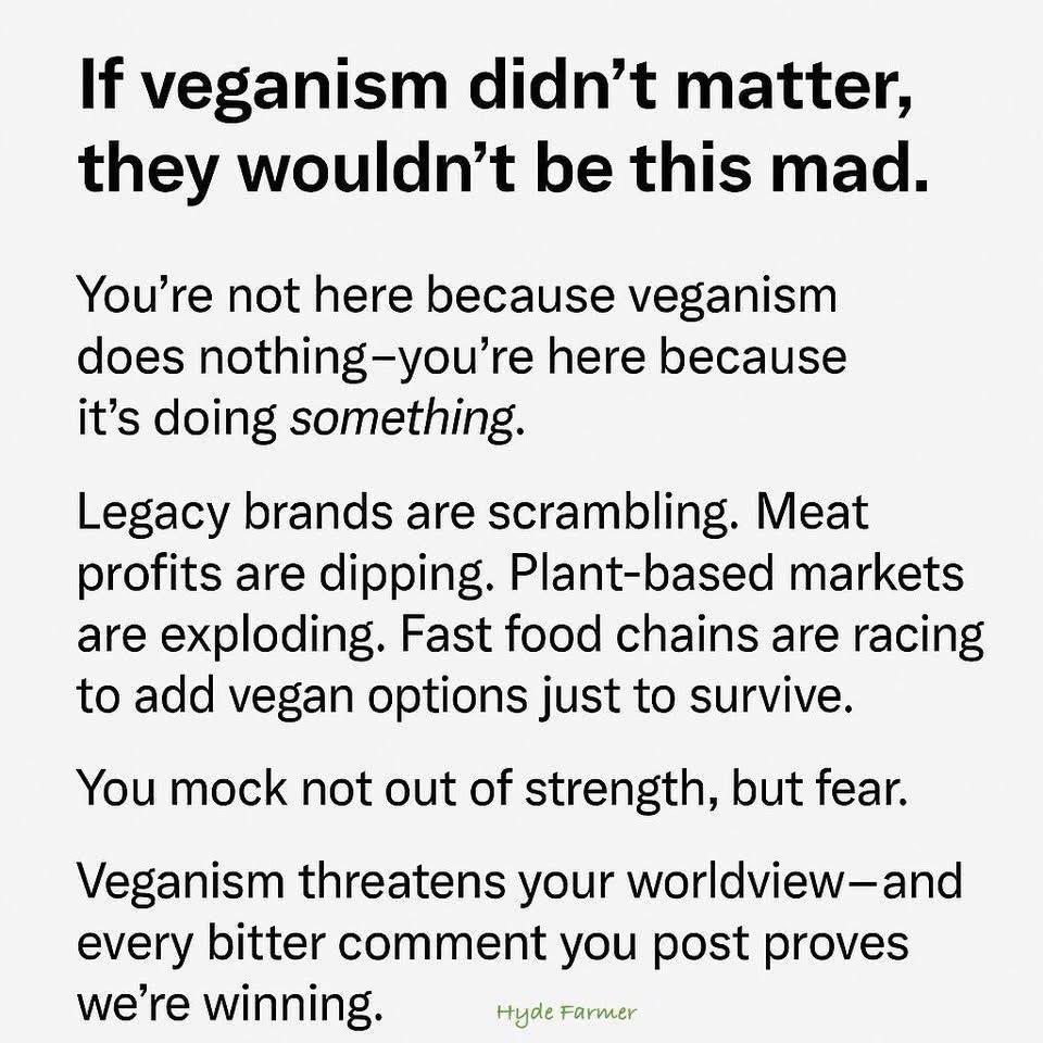 mikemasm Ⓥ tweet media