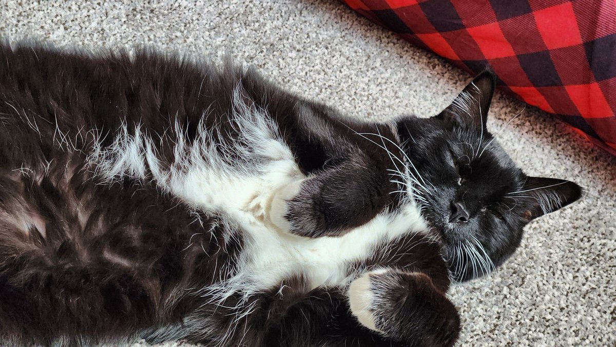 Missy makeamessy tweet media