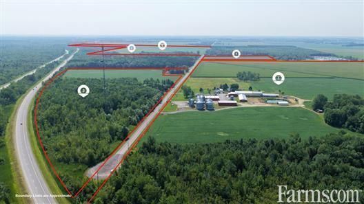 Farms.com Pork News tweet media