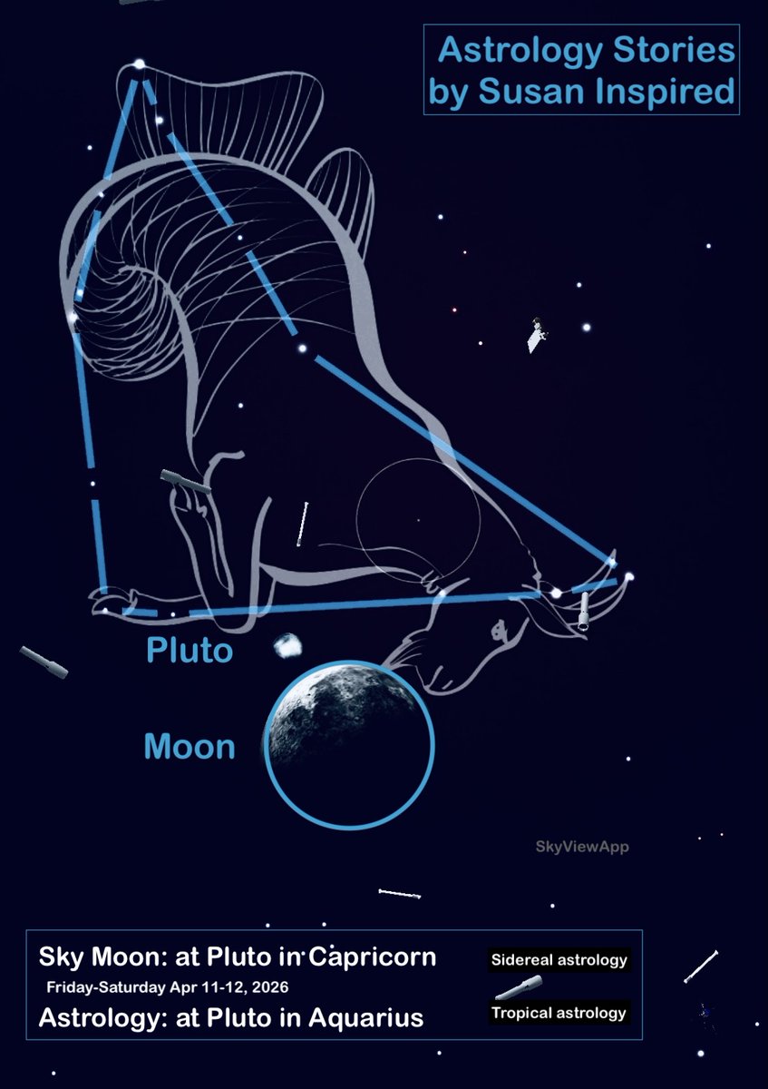 SusanInspired tweet media