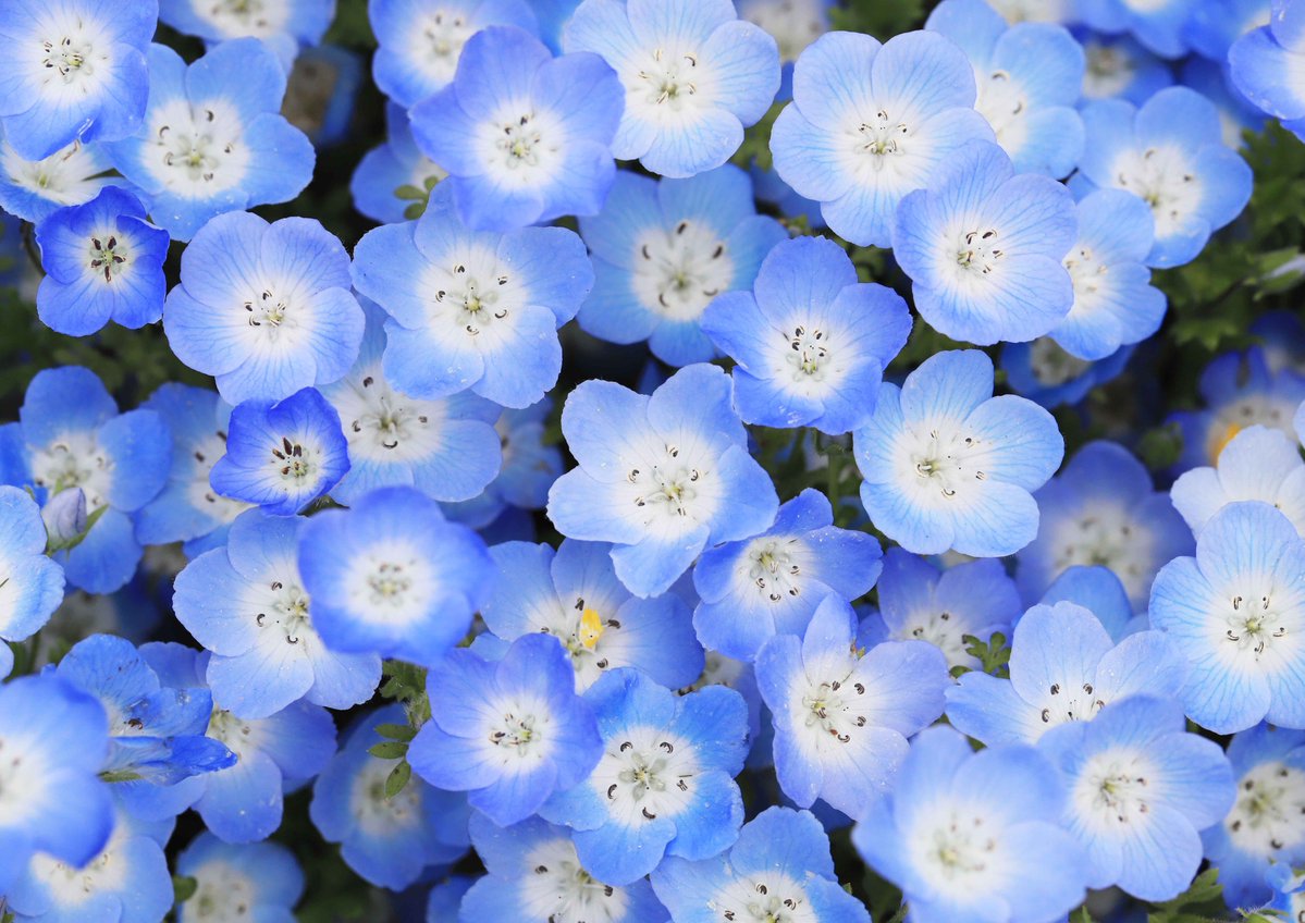 誰かから「役立たず」と言われて傷ついたとき、「私より役に立たない人間はたくさんいる」と思って自分を慰めるなら、私たちも誰かを傷つけることになります。「役立たずには価値がない」という考え方から、抜け出すことができますように。今晩も、皆さんの上に神様の祝福がありますように。片柳神父