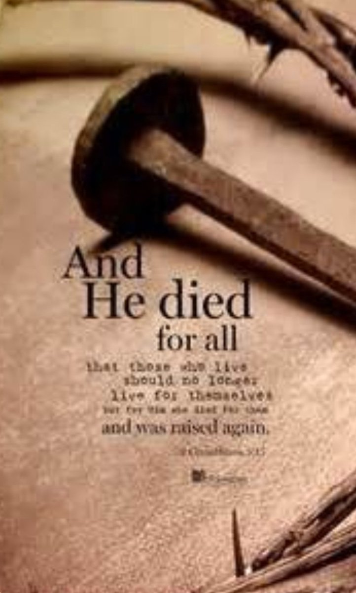 Todd Trotter tweet media