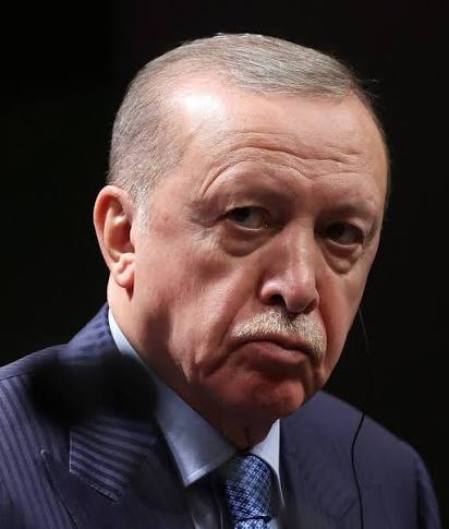 Tsega Melaku - צגה מלקו tweet media