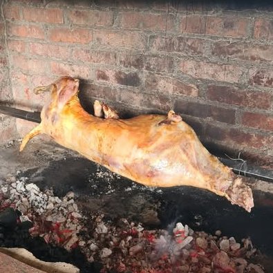 Srdjan Prekovic tweet media