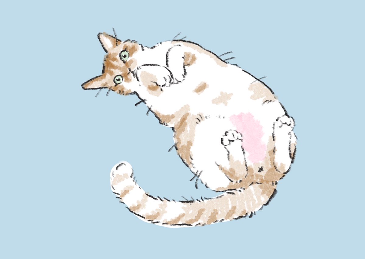 올챙이가된개구리 tweet media