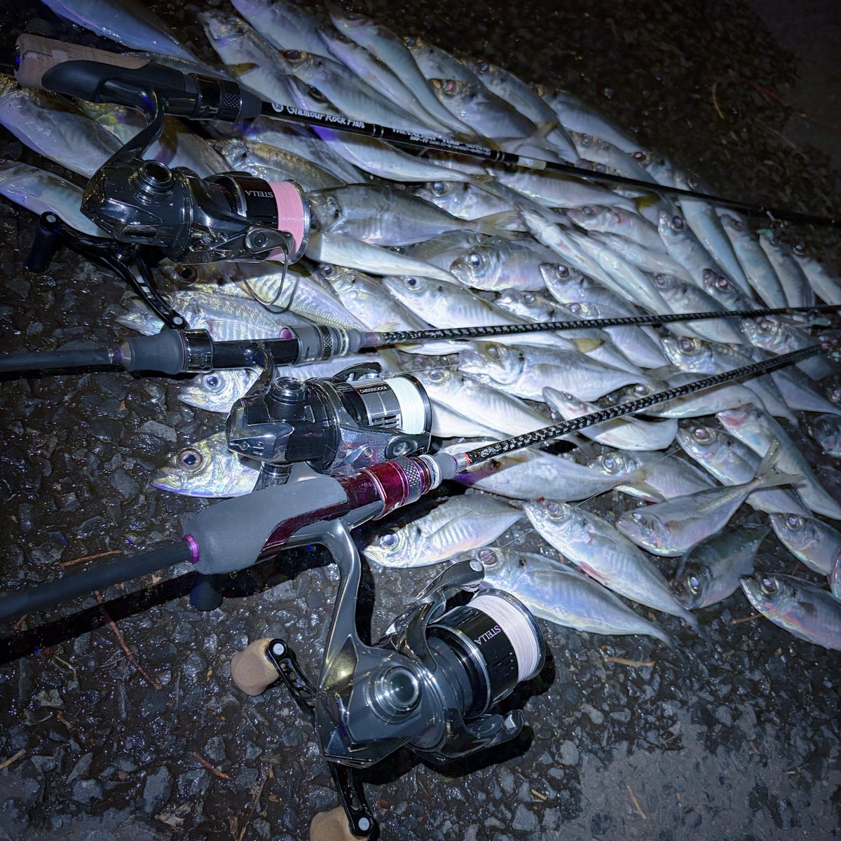 ꢤかびんちゃんꢏ tweet media