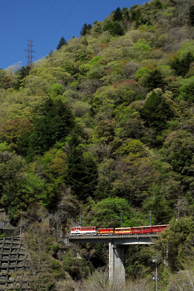 川猫山駅長 tweet media