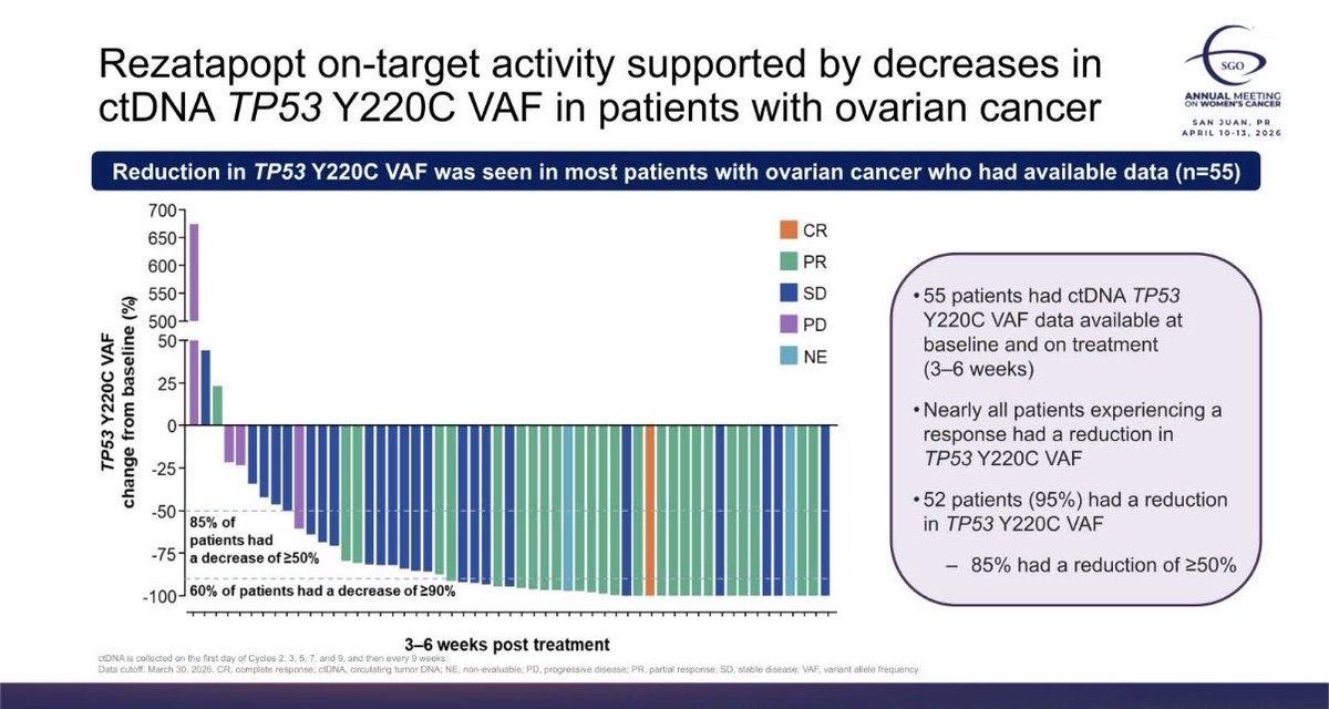 MAvilaMD's tweet image. PYNNACLE phase II p53 reactivated against TP53 Y220Cm patients with platinum resistant #ovariancancer with ORR44% (1 radiographic CR). TP53 Y220C VAF decline seems to correlate to radiographic response! #SGOAM26 @SGO_org
