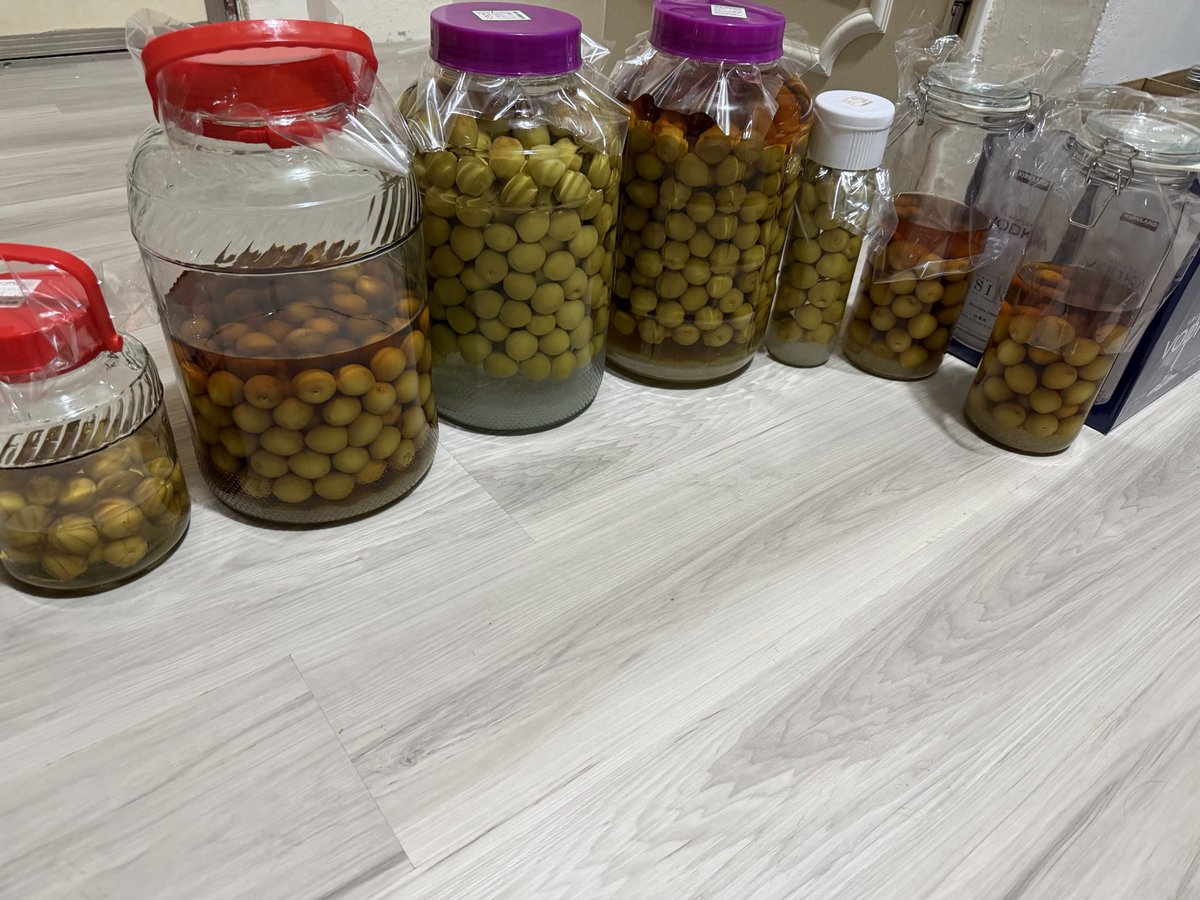 🍼五行缺德的 順順 tweet media