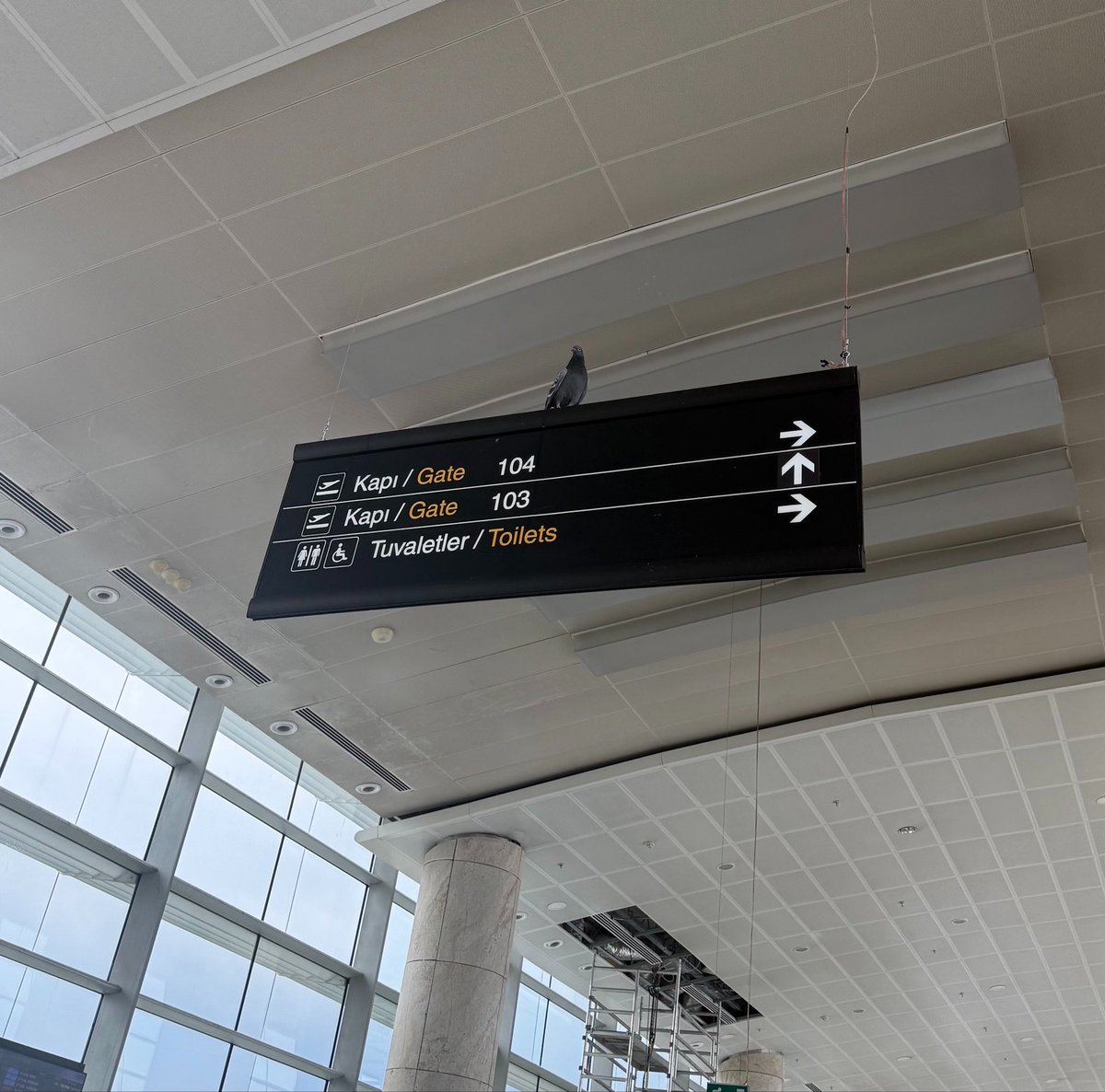 Hande_CC tweet media