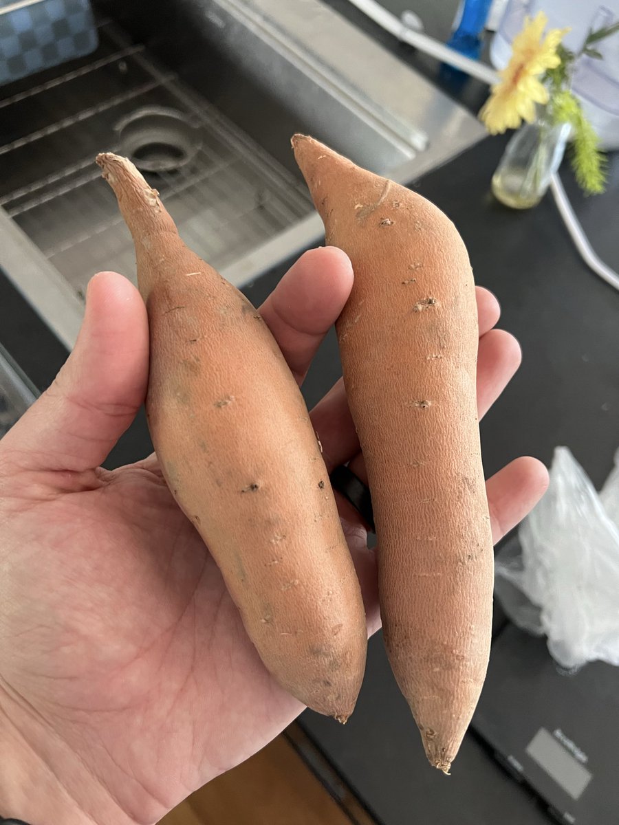 UKWillTemp13's tweet photo. @kroger what in the world are these? Are these supposed to be sweet potatoes? Got Kroger pickup and these are what I was given when selecting 3 sweet potatoes. First off it’s only 2 and second what are these? If these are the sweet potatoes you source then just don’t stock them. https://t.co/0cLrYZqlkr