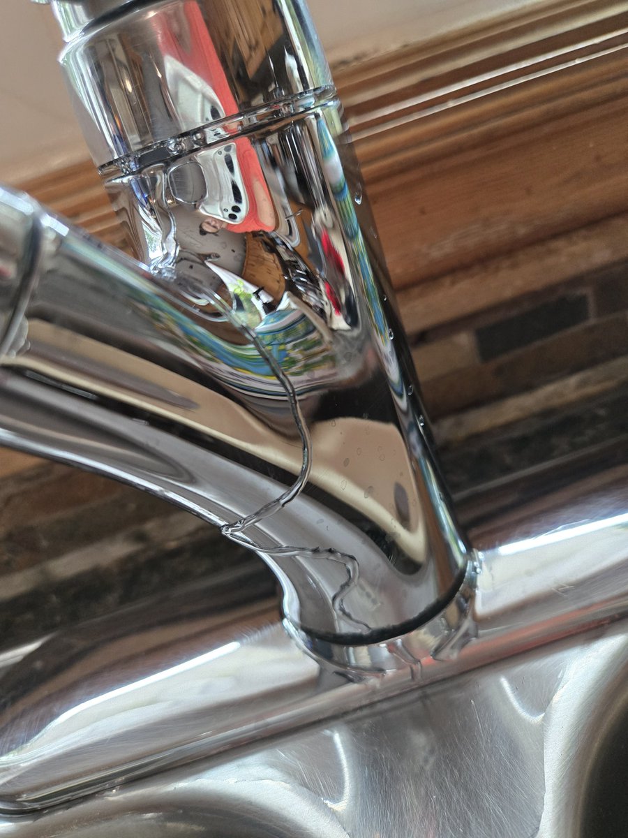 x-Draculina tweet media