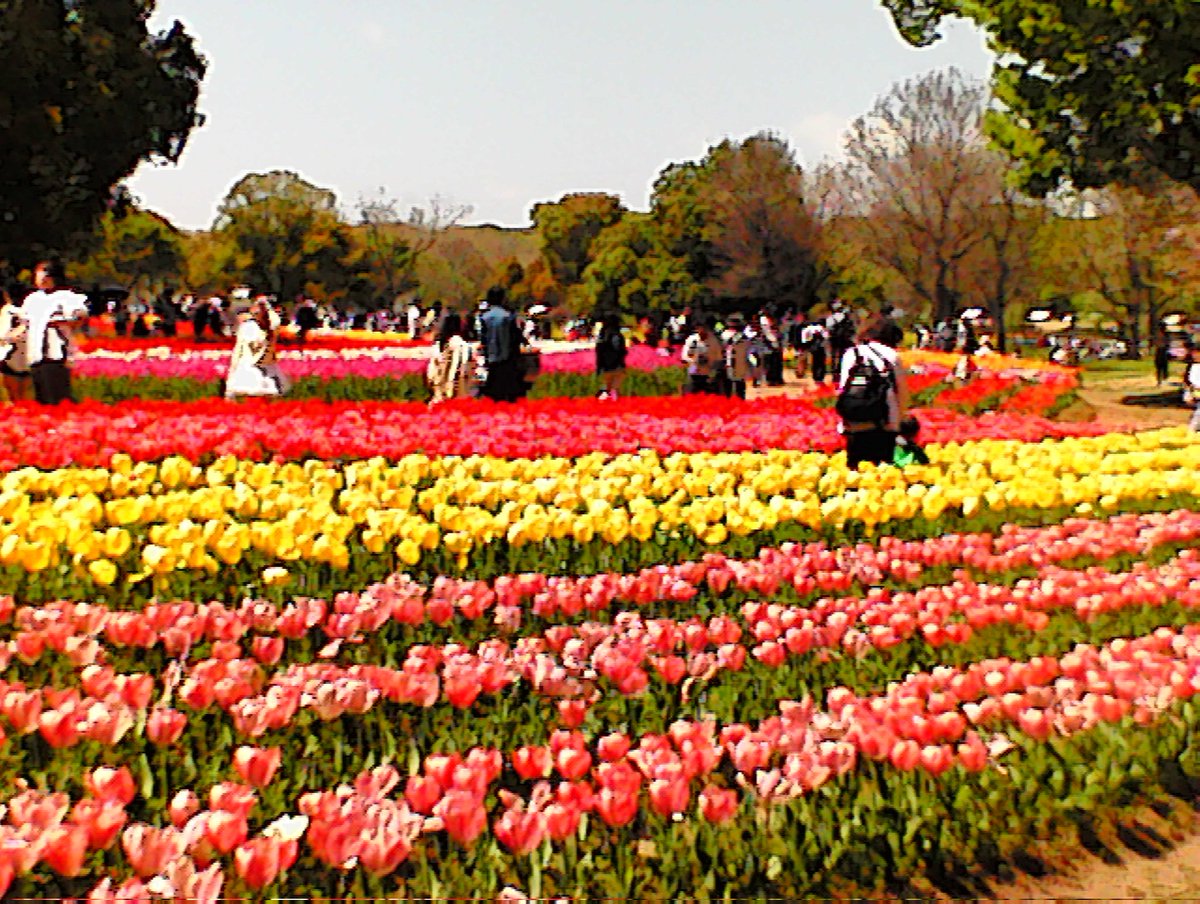 mii🧸🎧💭 tweet media