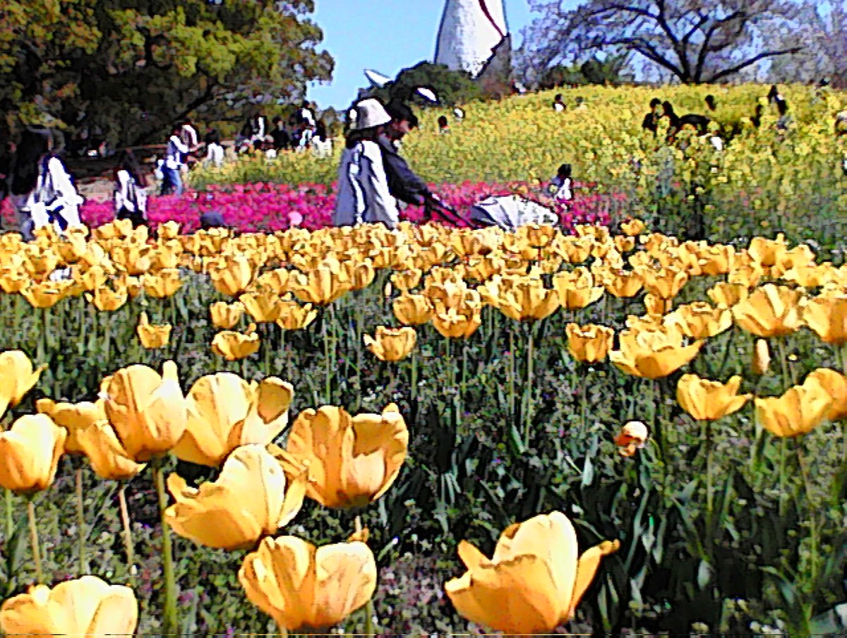 mii🧸🎧💭 tweet media