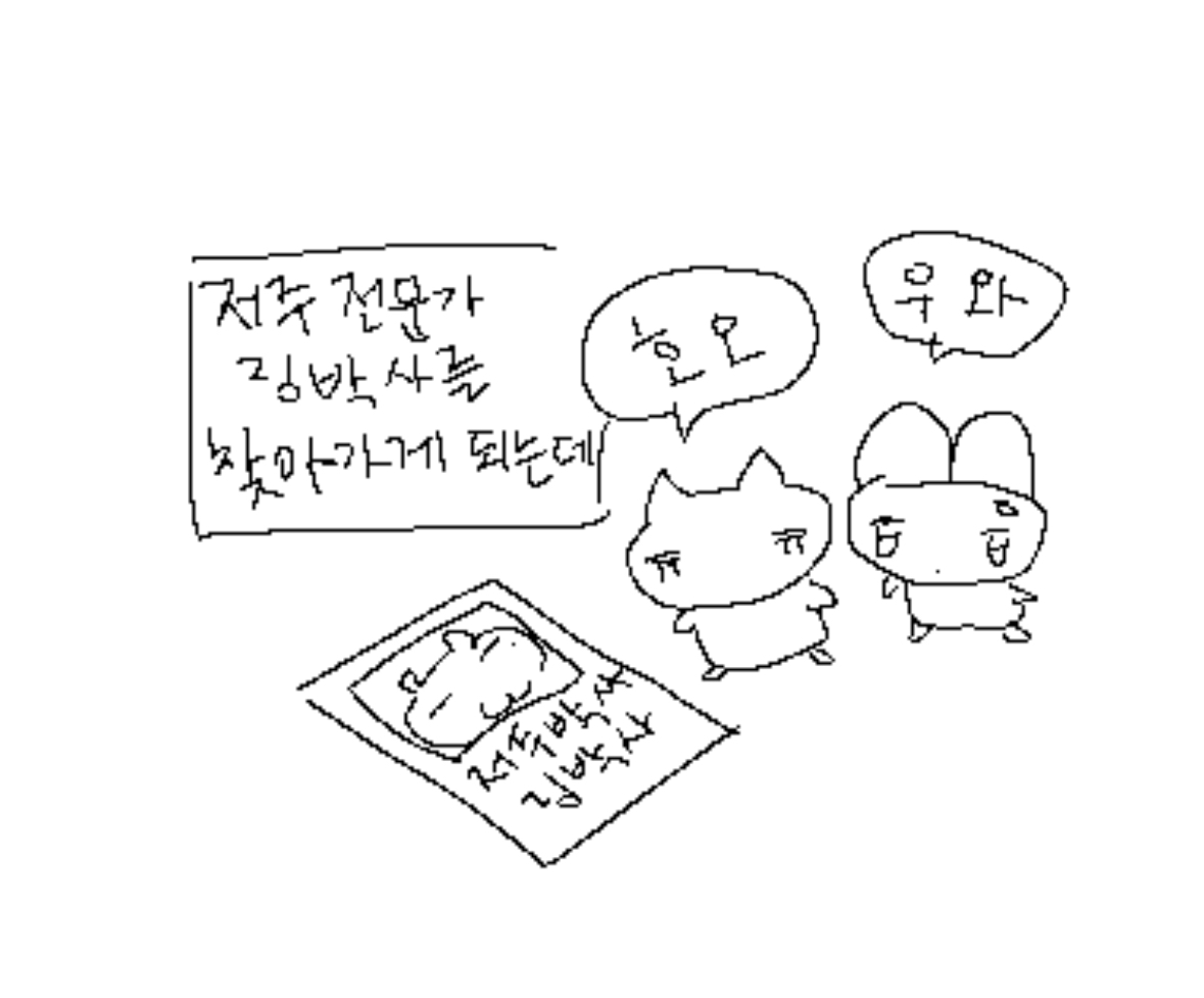 꿀밤 tweet media
