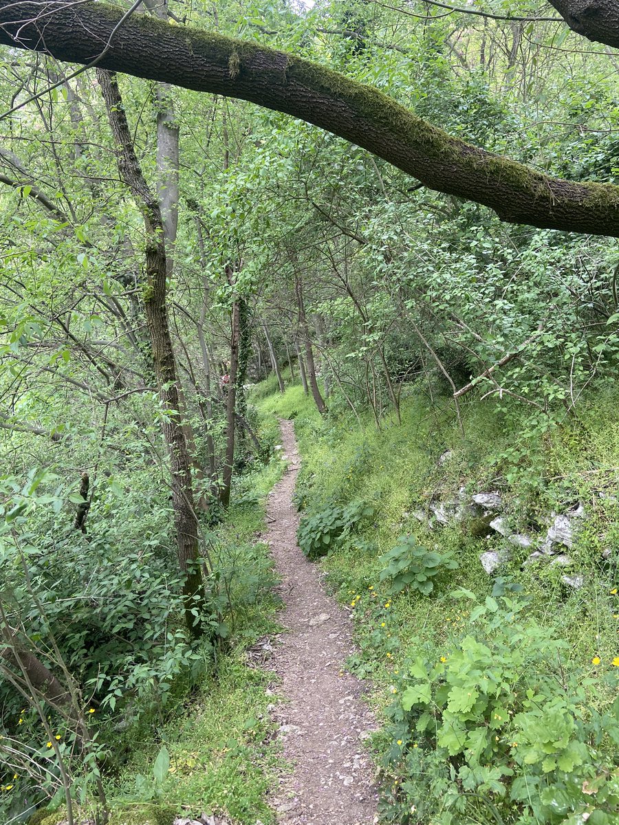 Mary 🜃 tweet media