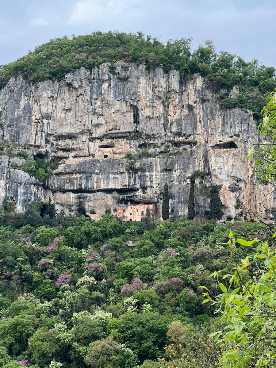 Mary 🜃 tweet media