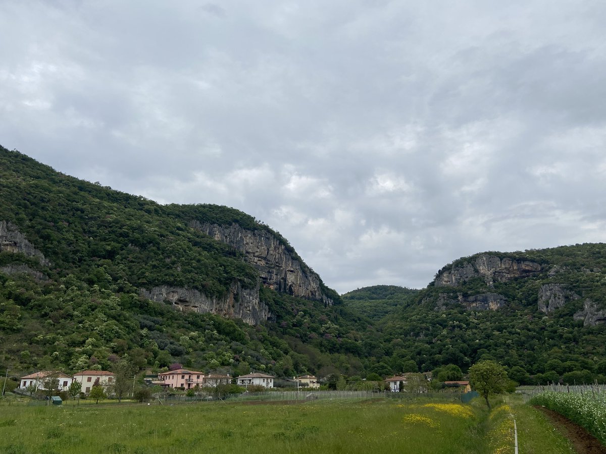 Mary 🜃 tweet media