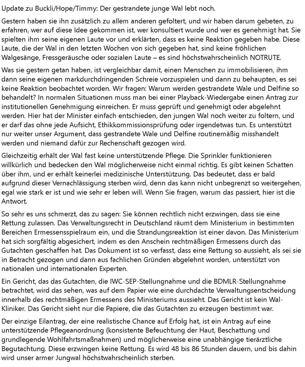 +++🐾 Der Terrier 🐾 +++ 🐶 🐋 tweet media