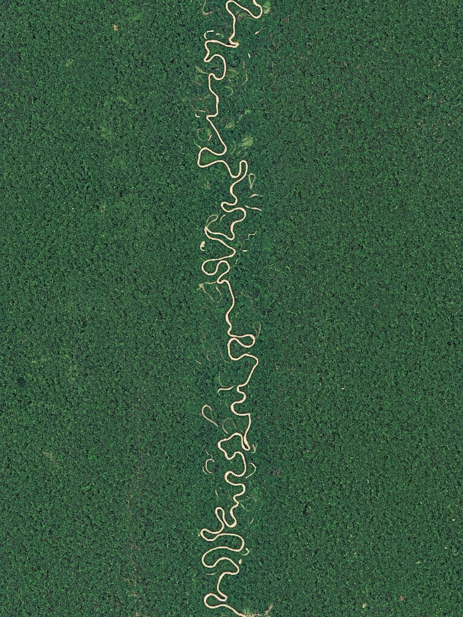 Viviane Fernandes ཐི༏ཋྀ tweet media