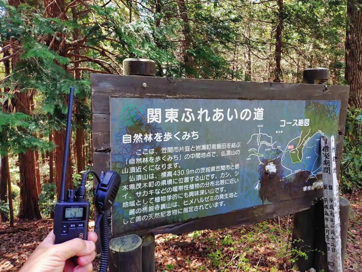 ばんどうＮＳ２２８ tweet media