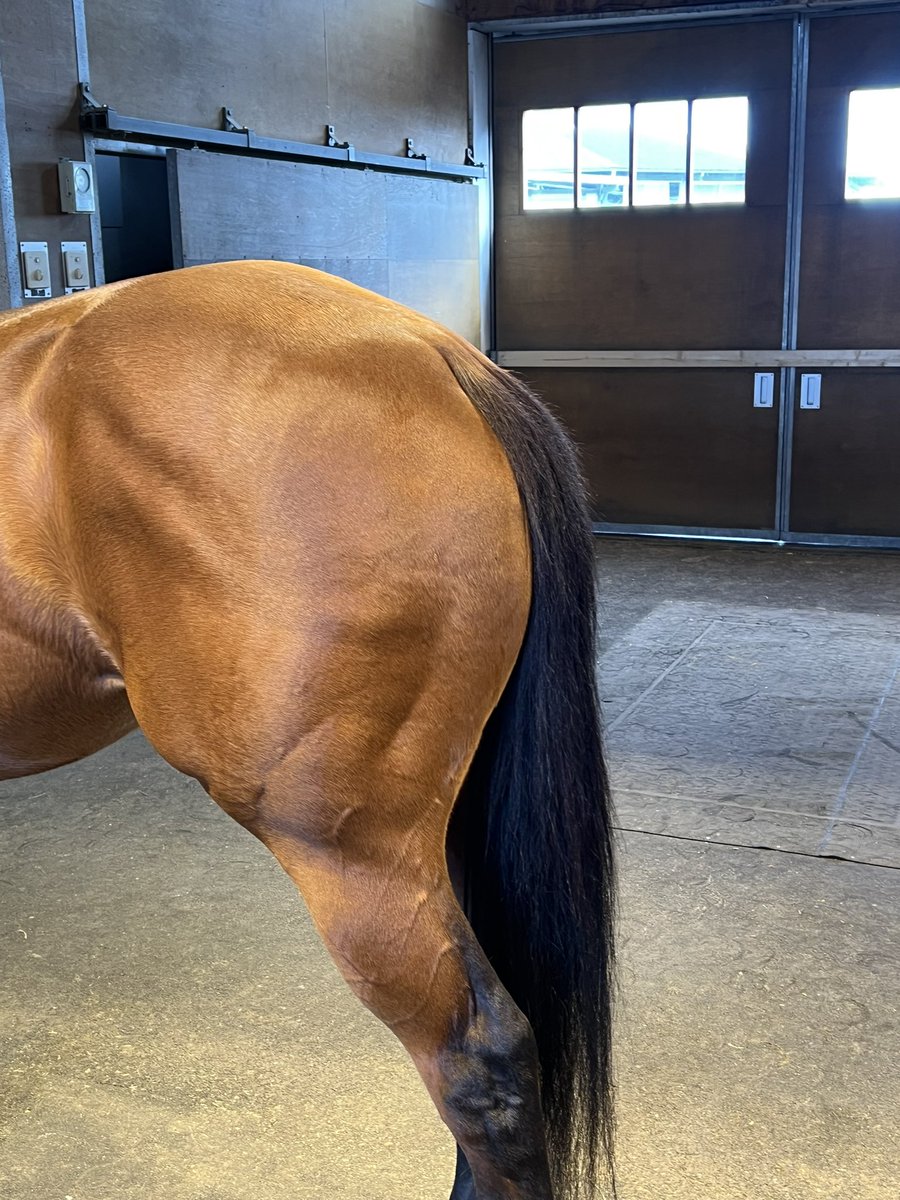 フーソ tweet media