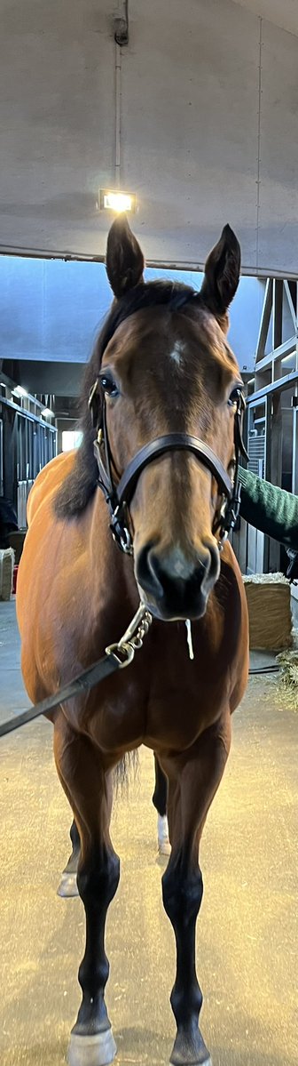 フーソ tweet media