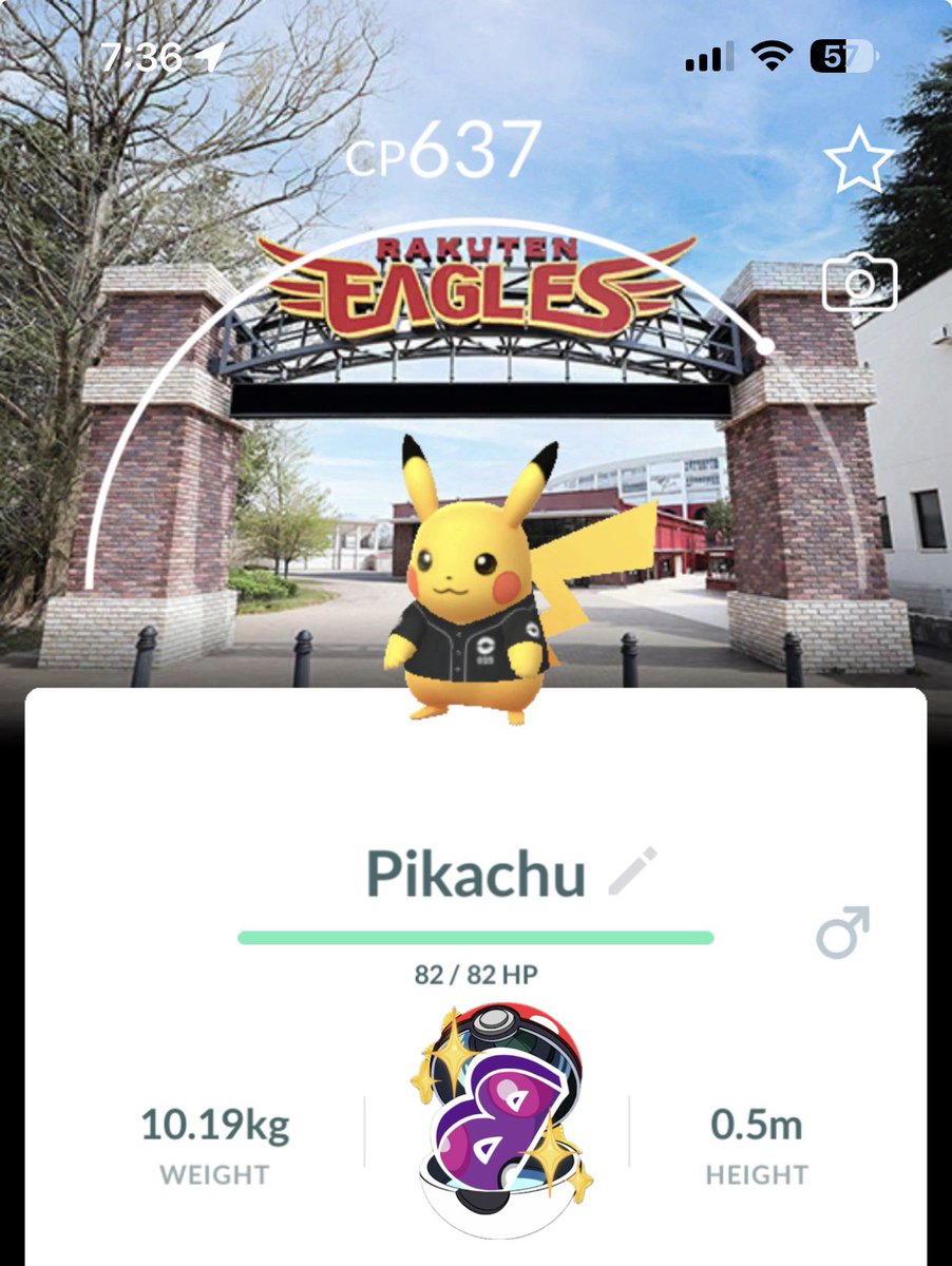 ✨BOZA Pokemon Go✨ tweet media