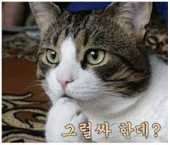 은총달걀 tweet media