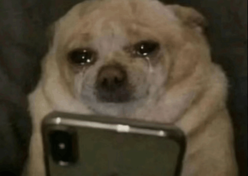 DRC_AMWHO2026's tweet photo. pov pfizer after realizing they cant remove their name from the section that doesnt exist in EMROs solutions https://t.co/o9ptmmzDcE