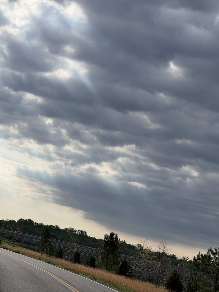 TheOtherLori's tweet image. 5.2 miles finding wishes, animal prints, sunbeams fighting the clouds, &amp;amp; a candlestick lamp in a ditch. Hope you’re out enjoying your runs. #runchat #springtimerunning