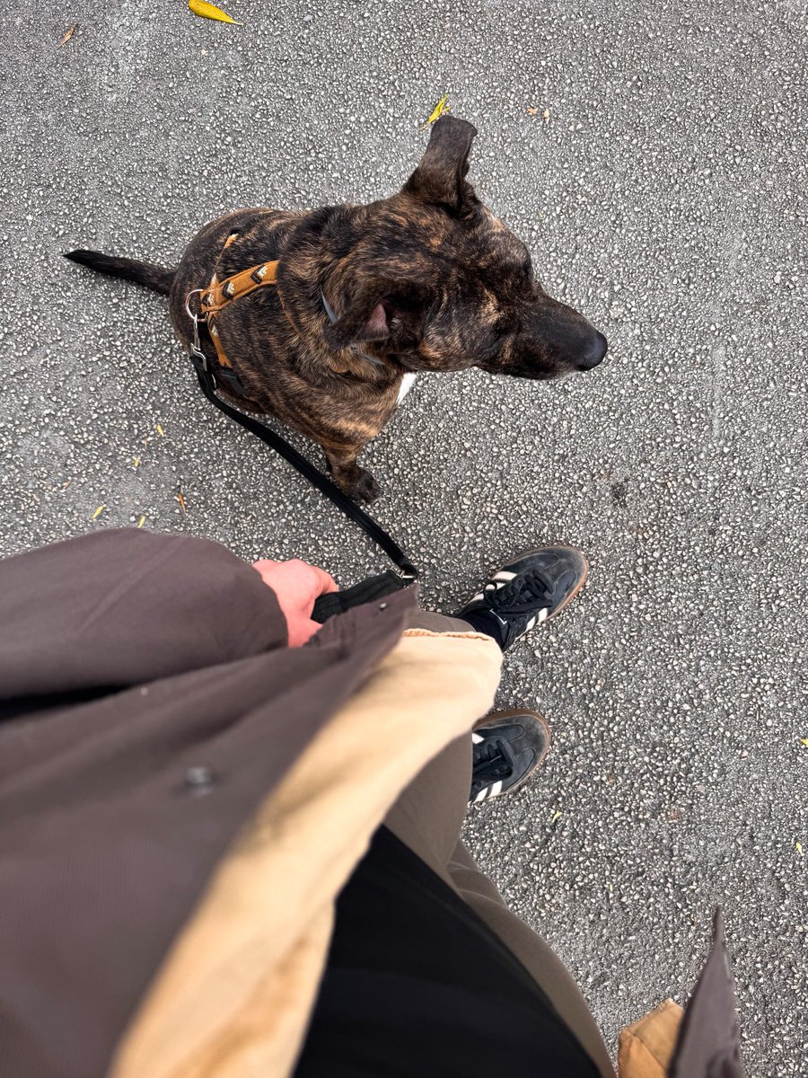 Magdalene tweet media