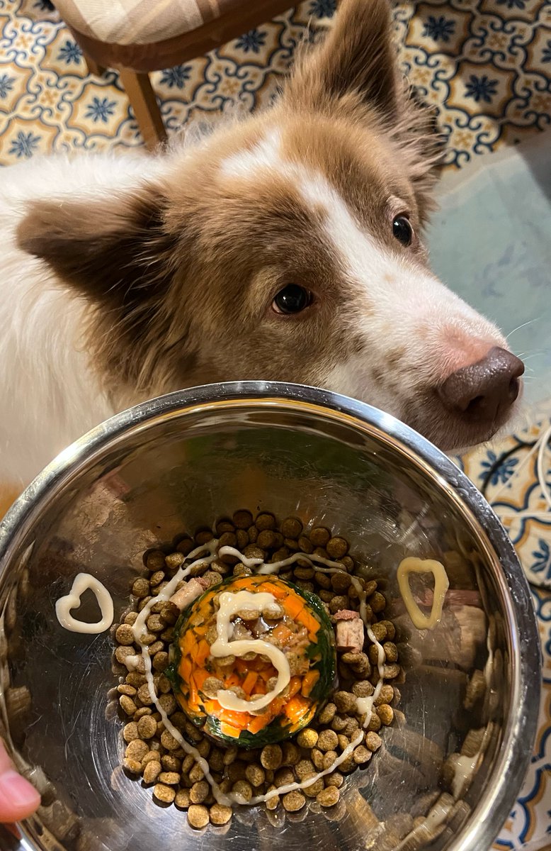 きんちゃんお誕生日でした🫘‼︎
5歳になったよ🖐️💓