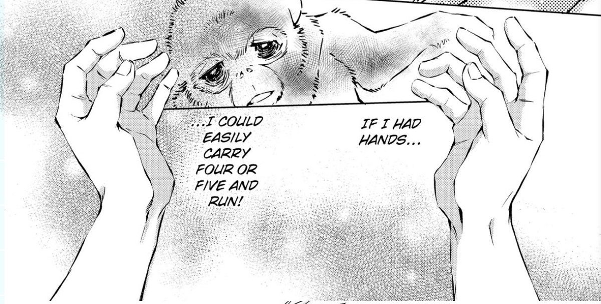 WAFLE🇻🇪 tweet media