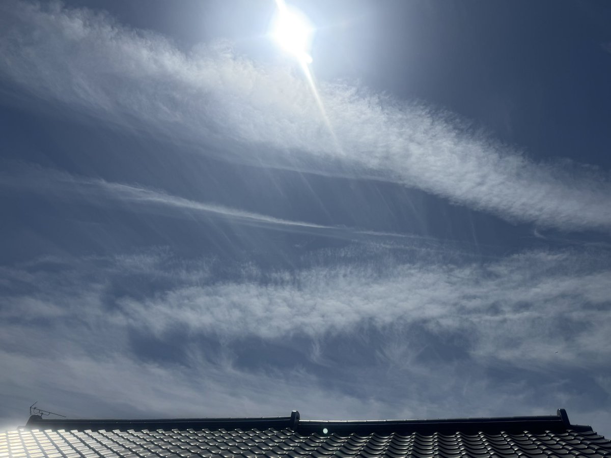あげ忘れた 午前中の空
飛行機雲や巻雲たちの
賑やかな空でした

(*˘︶˘*)ｵﾔｽﾐﾅｻｲ.｡.:*♡

2026/4/12  撮影