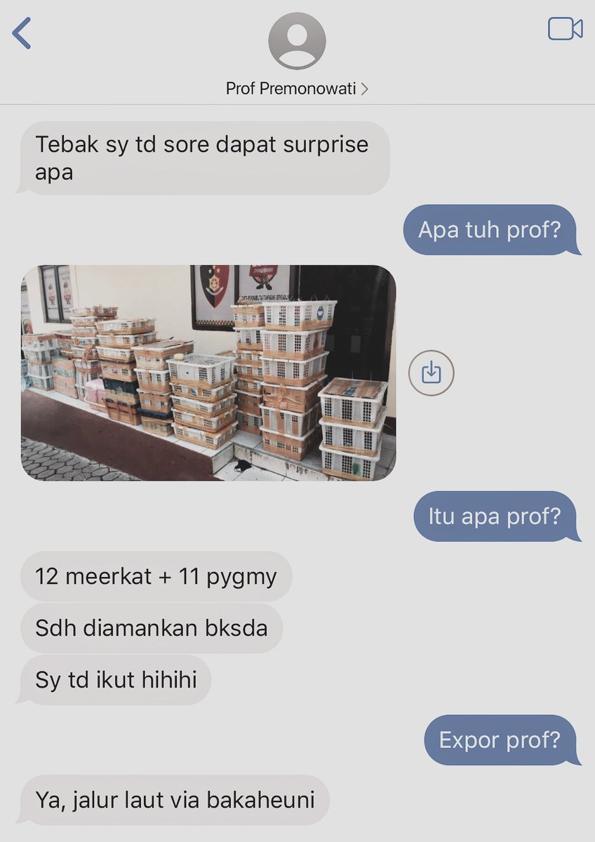 MAHARAMYA tweet media