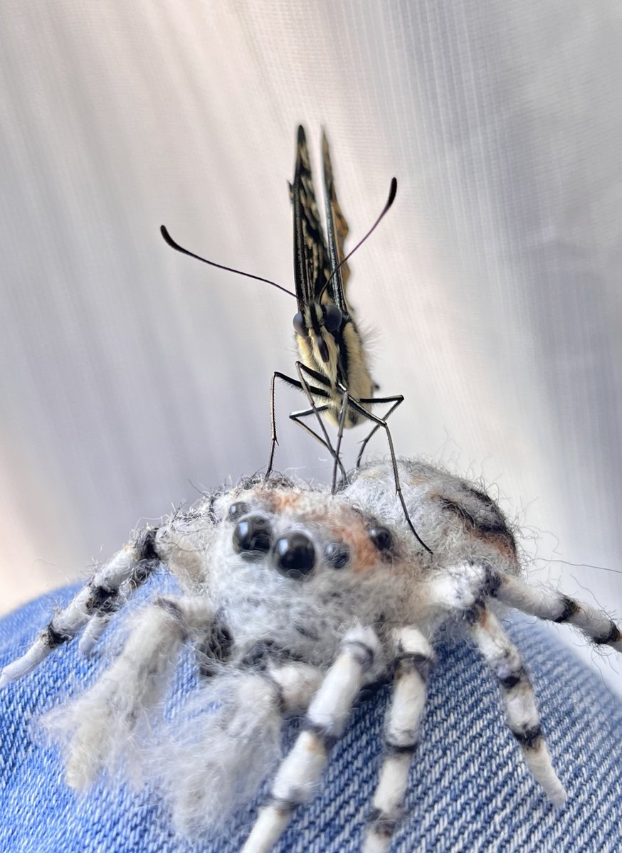 ゆな🍊いもむし tweet media