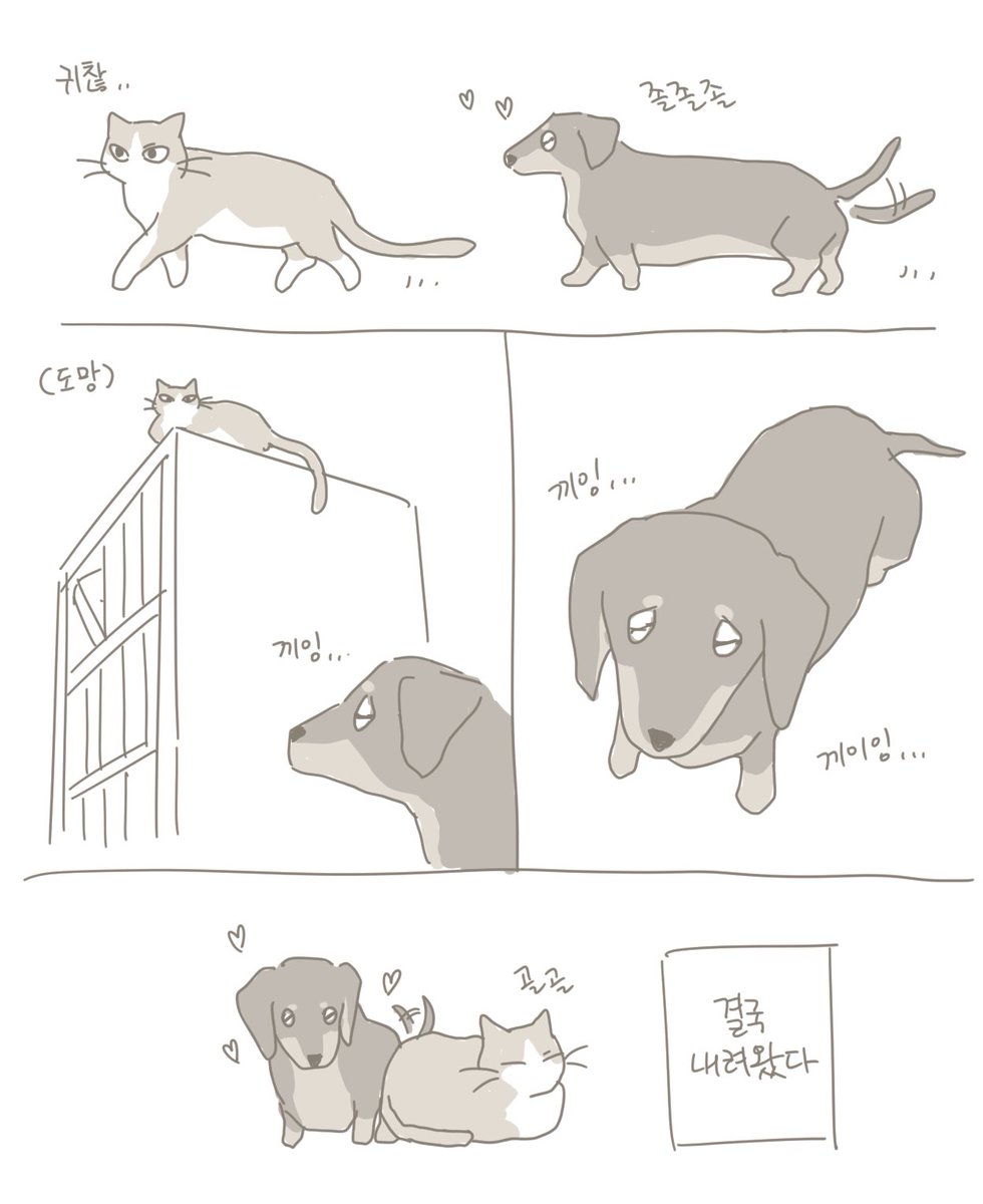 삼김이 tweet media