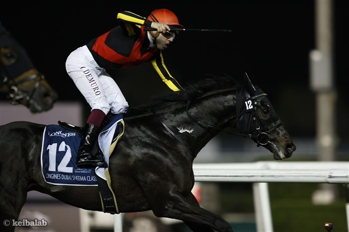 競馬ラボ tweet media