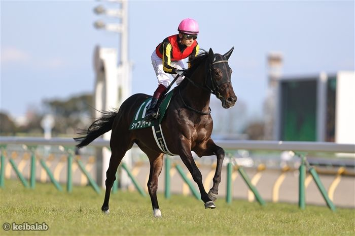 競馬ラボ tweet media