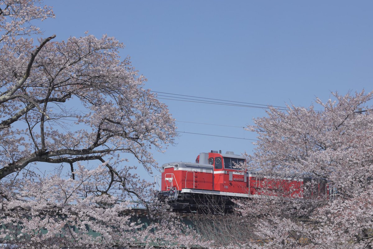 志水大雪 tweet media