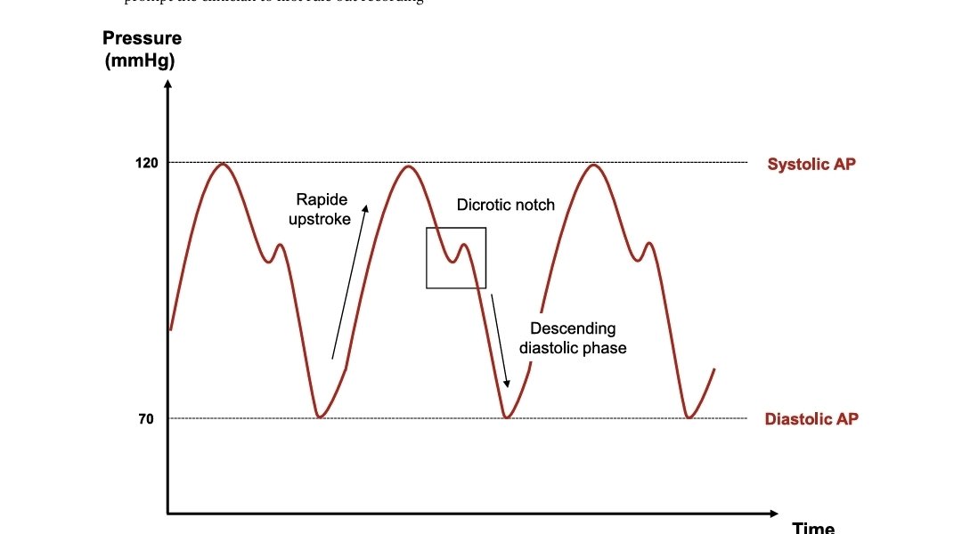 RECAT👩🏽‍⚕️🏥👨🏽‍⚕️🇲🇽🫀 tweet media