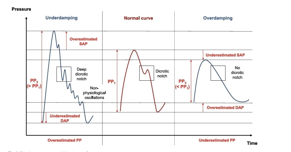 RECAT👩🏽‍⚕️🏥👨🏽‍⚕️🇲🇽🫀 tweet media