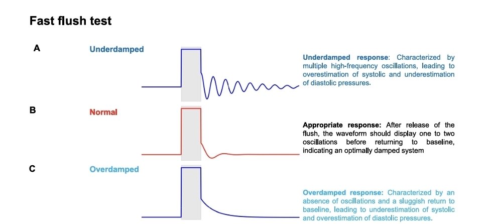 RECAT👩🏽‍⚕️🏥👨🏽‍⚕️🇲🇽🫀 tweet media