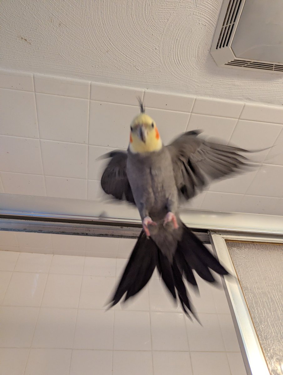 The last thing you see before you die.